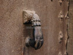 Mula Antigua serie-2